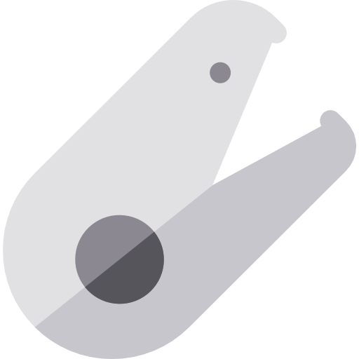 공룡 Basic Rounded Flat icon