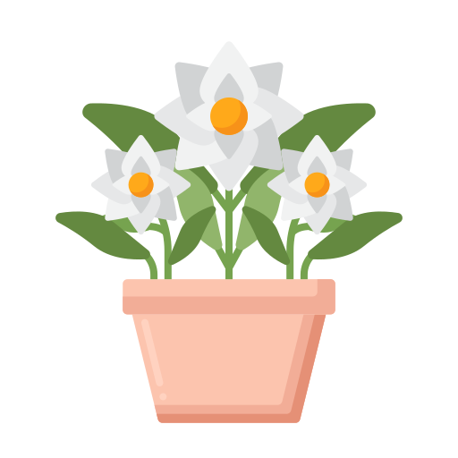 gardenia Flaticons Flat icoon