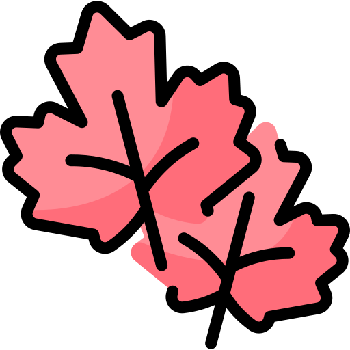 Maple leaf Vitaliy Gorbachev Lineal Color icon