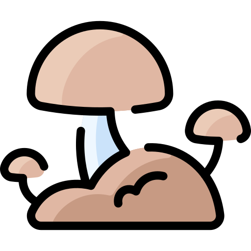 Mushroom Vitaliy Gorbachev Lineal Color icon