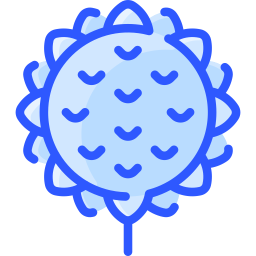 Sunflower Vitaliy Gorbachev Blue icon