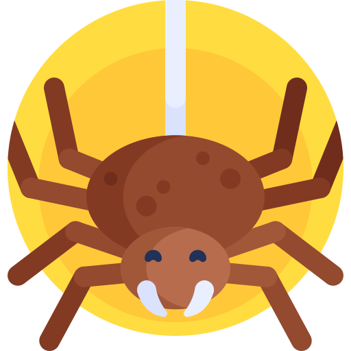 spinne Detailed Flat Circular Flat icon