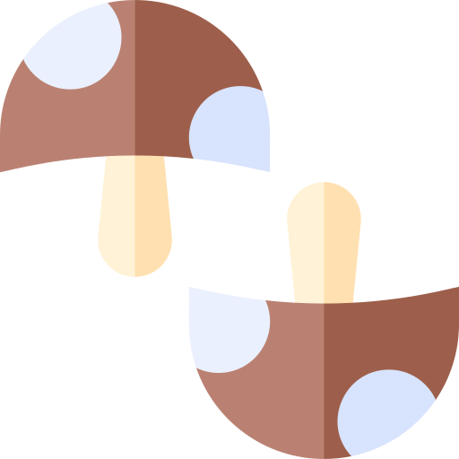 champignon Basic Straight Flat icon
