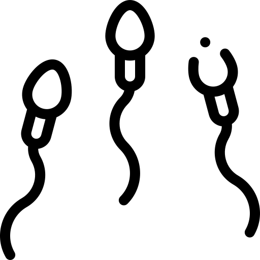 spermatozoïde Detailed Rounded Lineal Icône