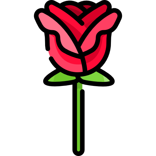 rose Special Lineal color icon