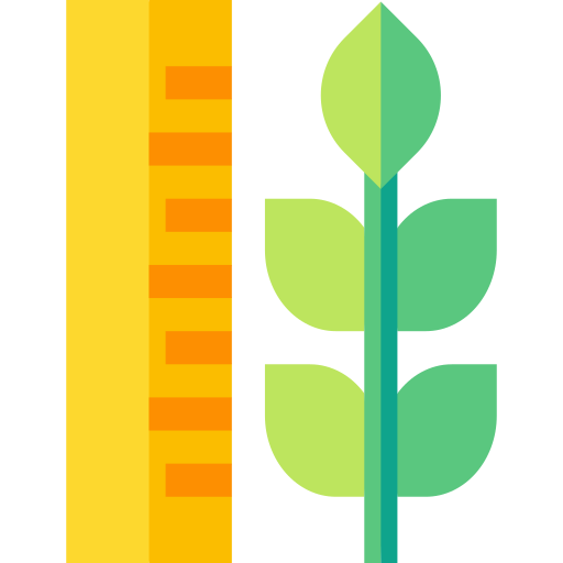 crecimiento Basic Straight Flat icono