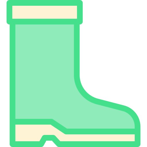 Ботинок Detailed color Lineal color иконка