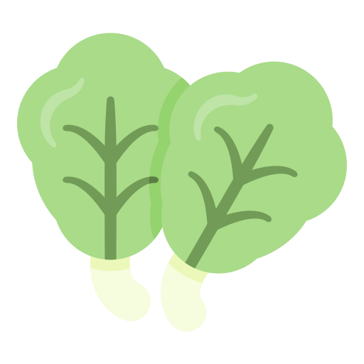 Salad Generic Flat icon