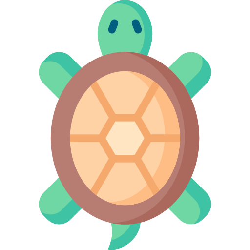 tortuga Special Flat icono