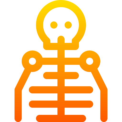 Skeleton Basic Gradient Lineal color icon