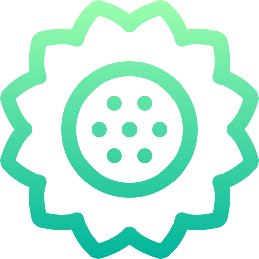 Sunflower Basic Gradient Lineal color icon