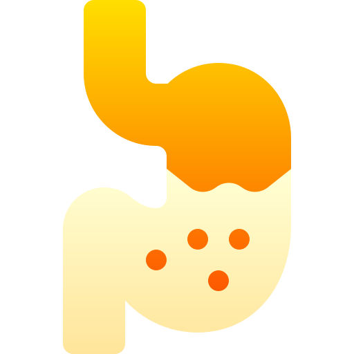 Stomach Basic Gradient Gradient icon