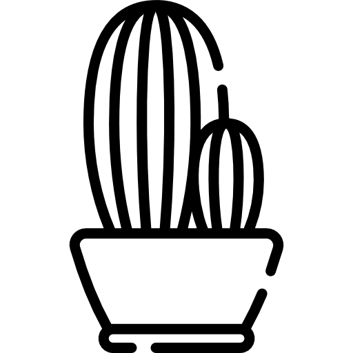Кактус Special Lineal иконка