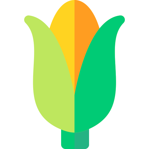 옥수수 Basic Rounded Flat icon