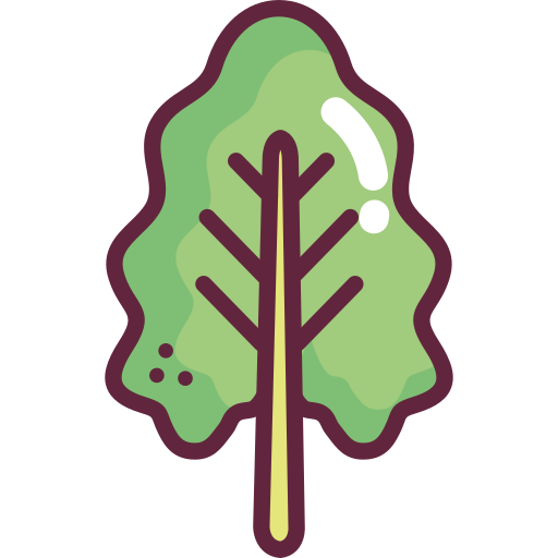 Lettuce Generic Outline Color icon
