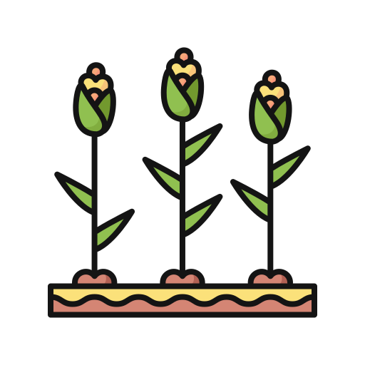 maïs Generic Outline Color icoon