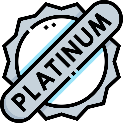 platin Detailed Straight Lineal color icon