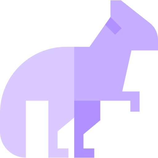 graciliceratops Basic Straight Flat ikona