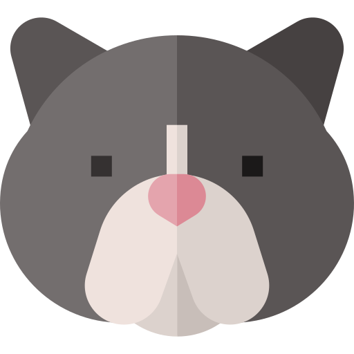 Экзотическая короткошерстная кошка Basic Straight Flat иконка