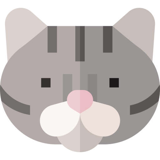 Американская короткошерстная кошка Basic Straight Flat иконка