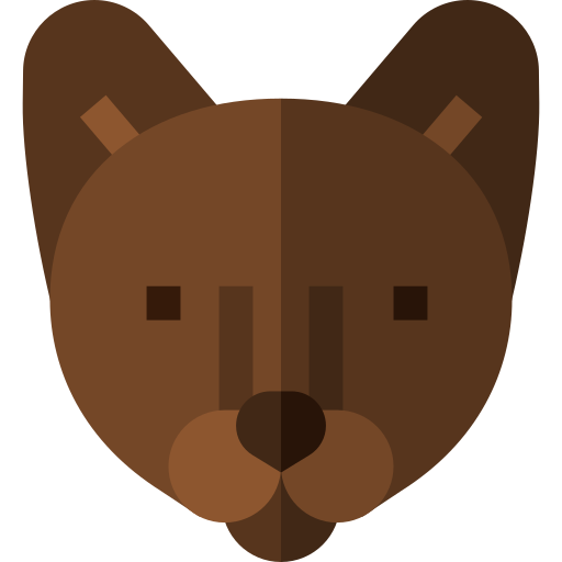 marrón havana Basic Straight Flat icono