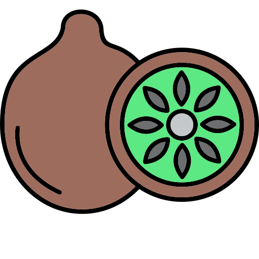 kiwi Generic Thin Outline Color icono