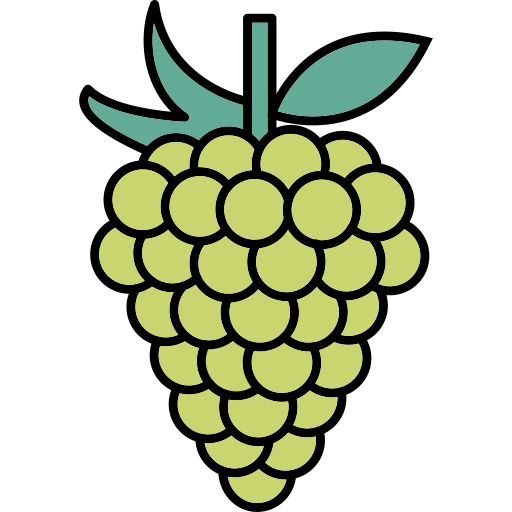 Grapes Generic Thin Outline Color icon