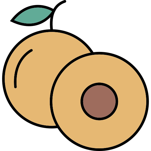 longan Generic Thin Outline Color icono