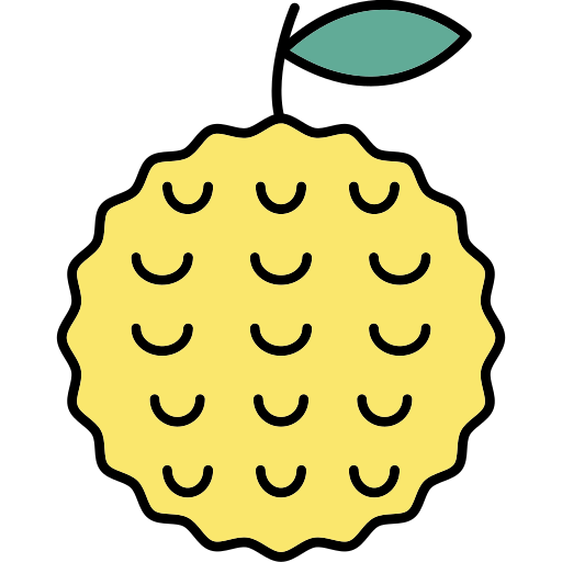 Jackfruit Generic Thin Outline Color icon