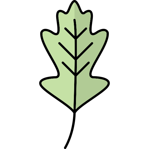eichenblatt Generic Thin Outline Color icon