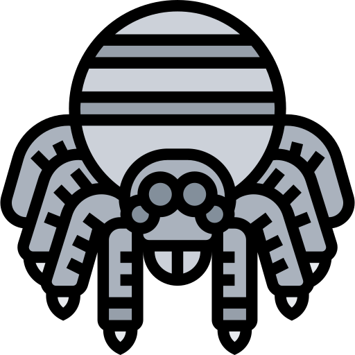 Spider Meticulous Lineal Color icon