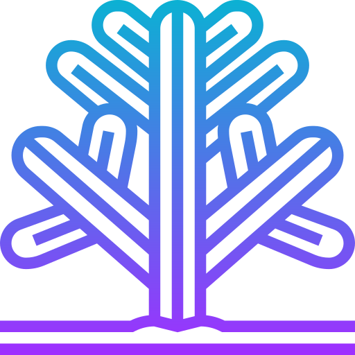 kaktus Meticulous Gradient ikona