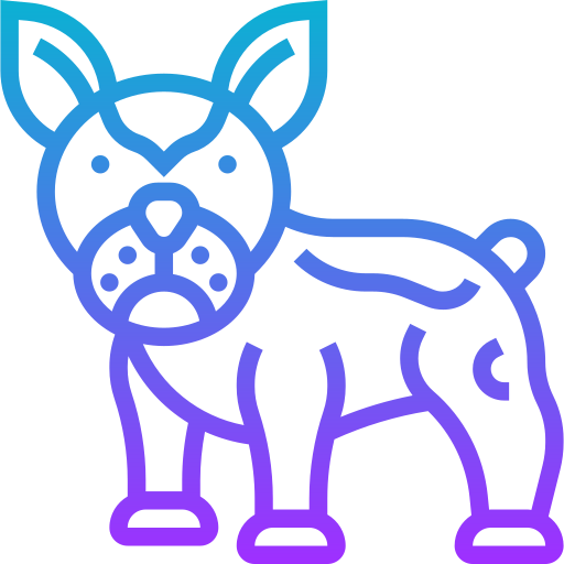 französische bulldogge Meticulous Gradient icon