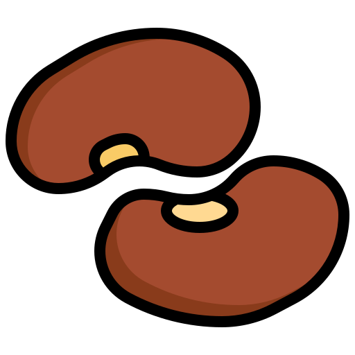 Kidney Surang Lineal Color icon