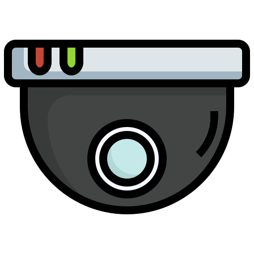 vigilancia Surang Lineal Color icono