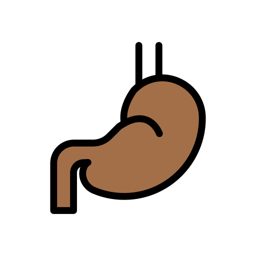 Digestive system Vector Stall Lineal Color icon