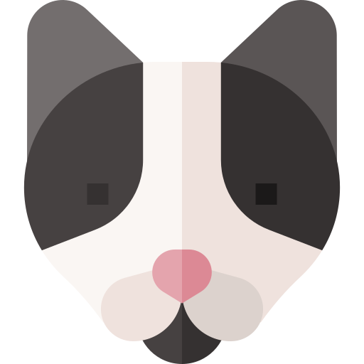 gatto Basic Straight Flat icona