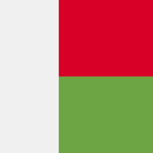 마다가스카르 Flags Square icon