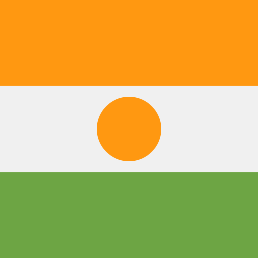 niger Flags Square icon