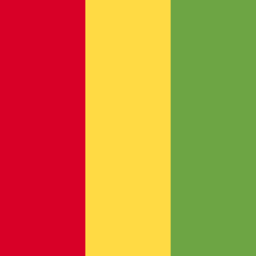 guinea Flags Square icon