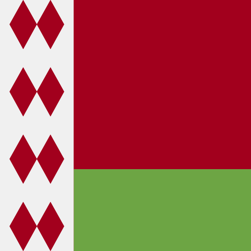 białoruś Flags Square ikona