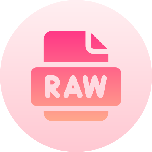 raw-datei Basic Gradient Circular icon