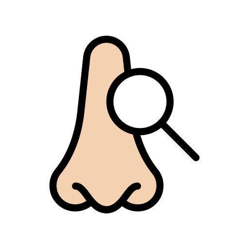 Nose Vector Stall Lineal Color icon