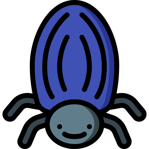 甲虫 Basic Miscellany Lineal Color icon