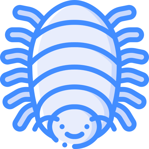 insecto Basic Miscellany Blue icono