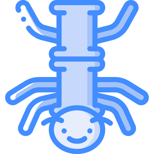 insecto palo Basic Miscellany Blue icono