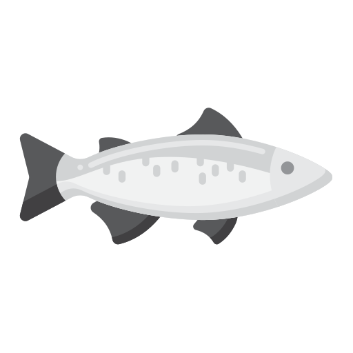 Salmon Flaticons Flat icon