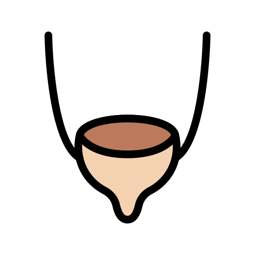 Ureter Vector Stall Lineal Color icon