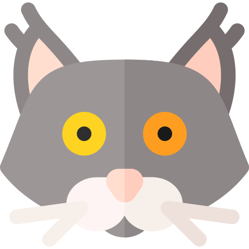 gato maine coon Basic Rounded Flat icono