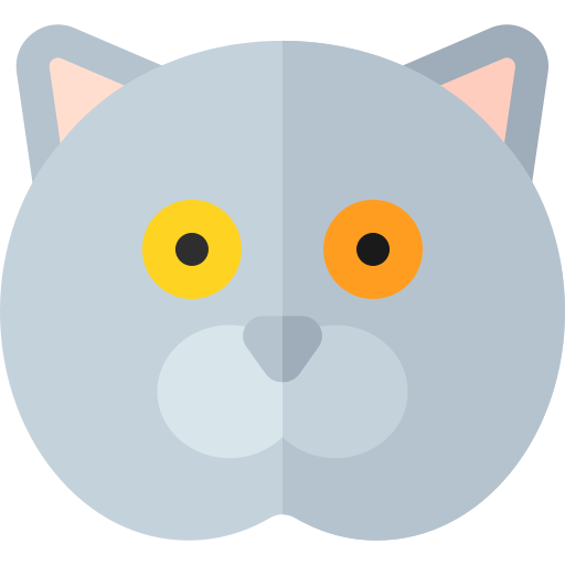ブリティッシュショートヘアの猫 Basic Rounded Flat icon